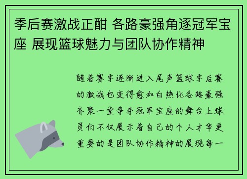 季后赛激战正酣 各路豪强角逐冠军宝座 展现篮球魅力与团队协作精神